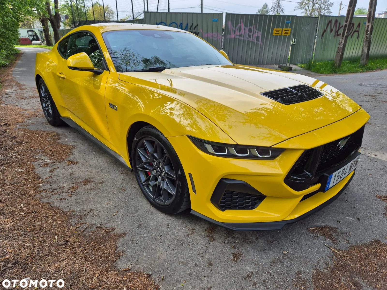 Ford Mustang Fastback 5.0 Ti-VCT V8 GT - 18
