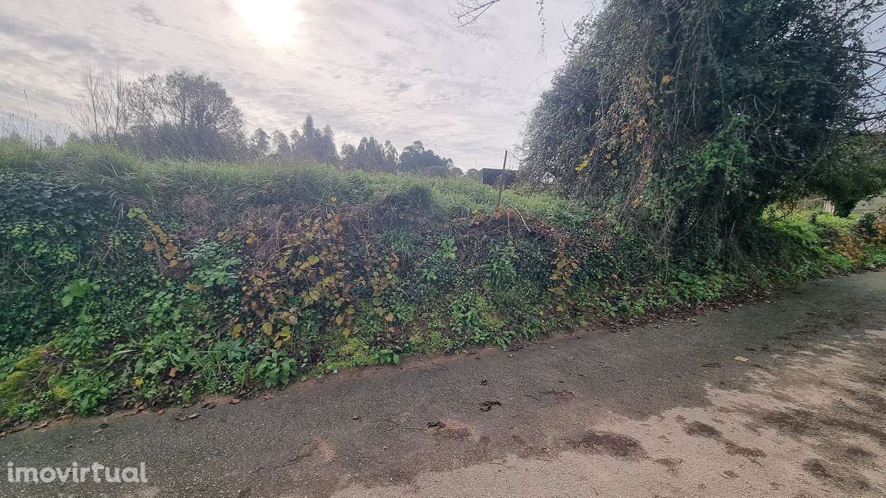 Terreno Rústico em Argoncilhe, Santa Maria da Feira - Grande imagem: 5/13