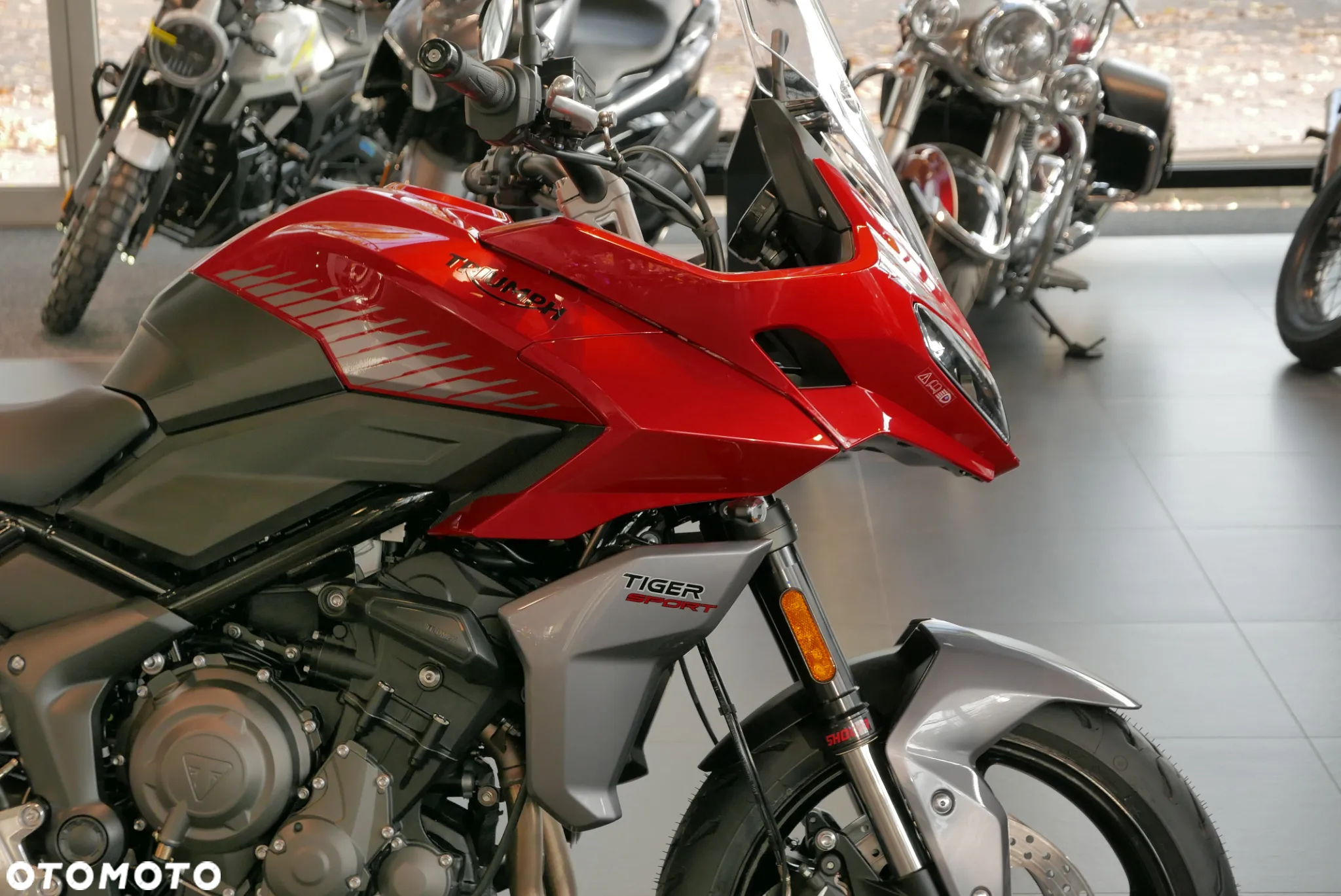 Triumph Tiger - 11
