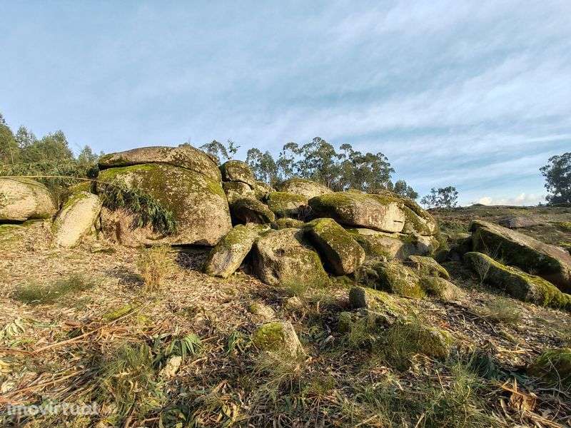 Terreno 4 Hetares Alugo/troco - Grande imagem: 5/7