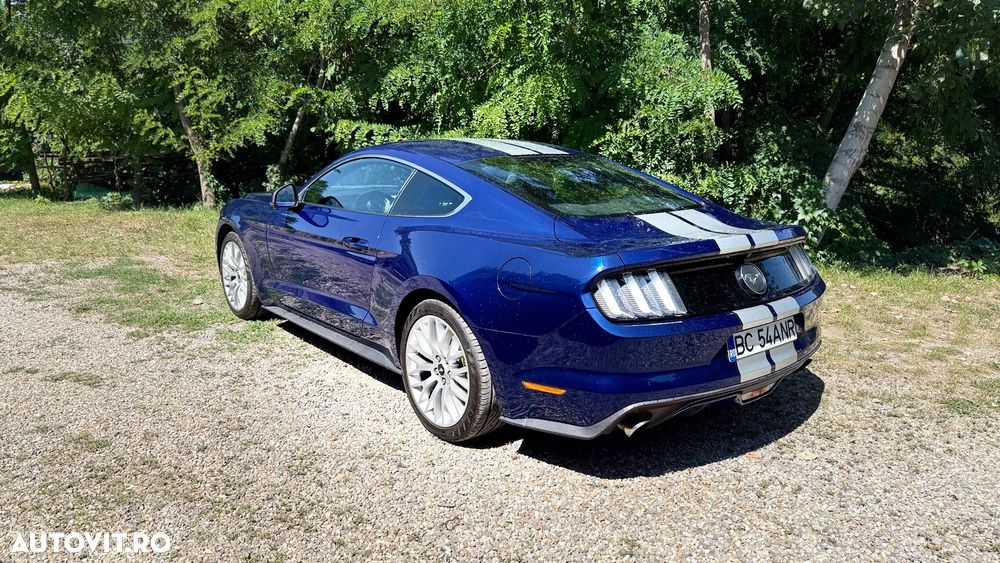Ford Mustang - 12