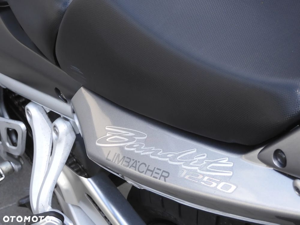 Suzuki Bandit - 33