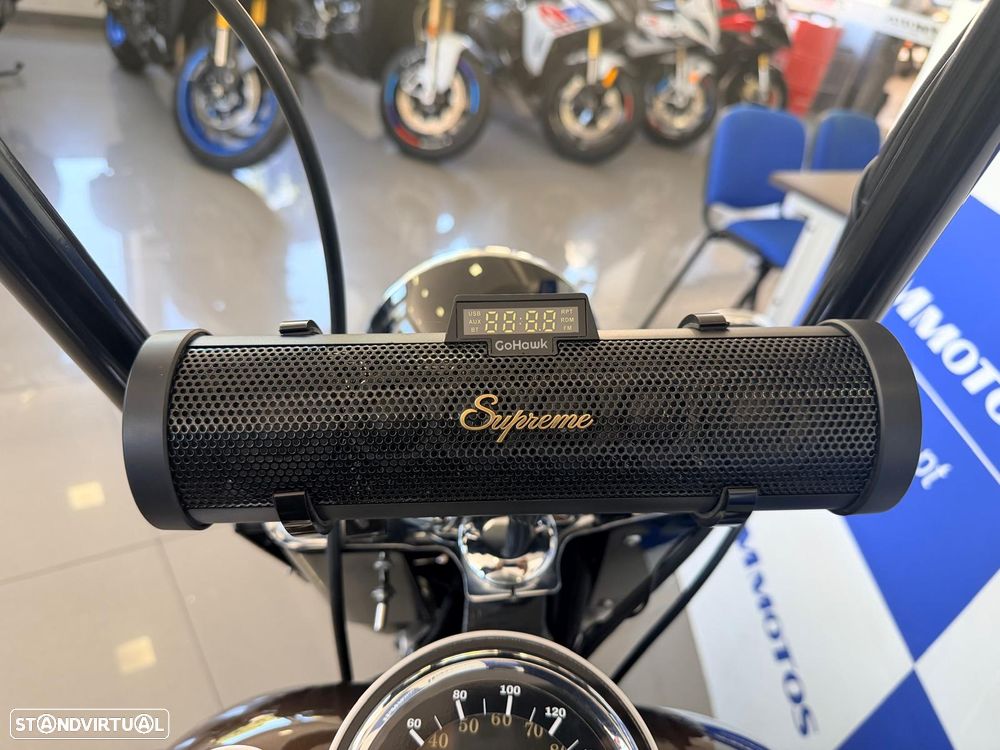 Harley-Davidson Fat Boy ANIVERSÁRIO 110 ANOS - 10