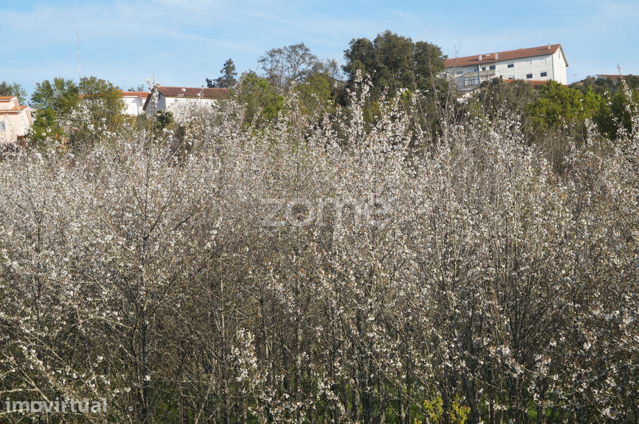 Moradia, 580 m², Nogueira do Cravo - Grande imagem: 5/29