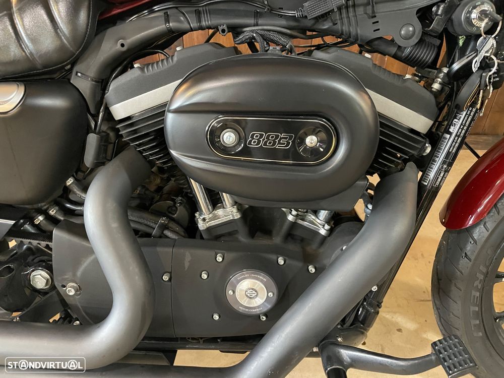 Harley-Davidson XL 883 Iron - 3