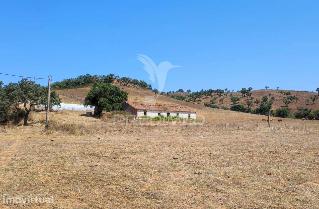 Herdade com 36,9000 ha a 3 Km do Pego das Pias - Grande imagem: 3/40