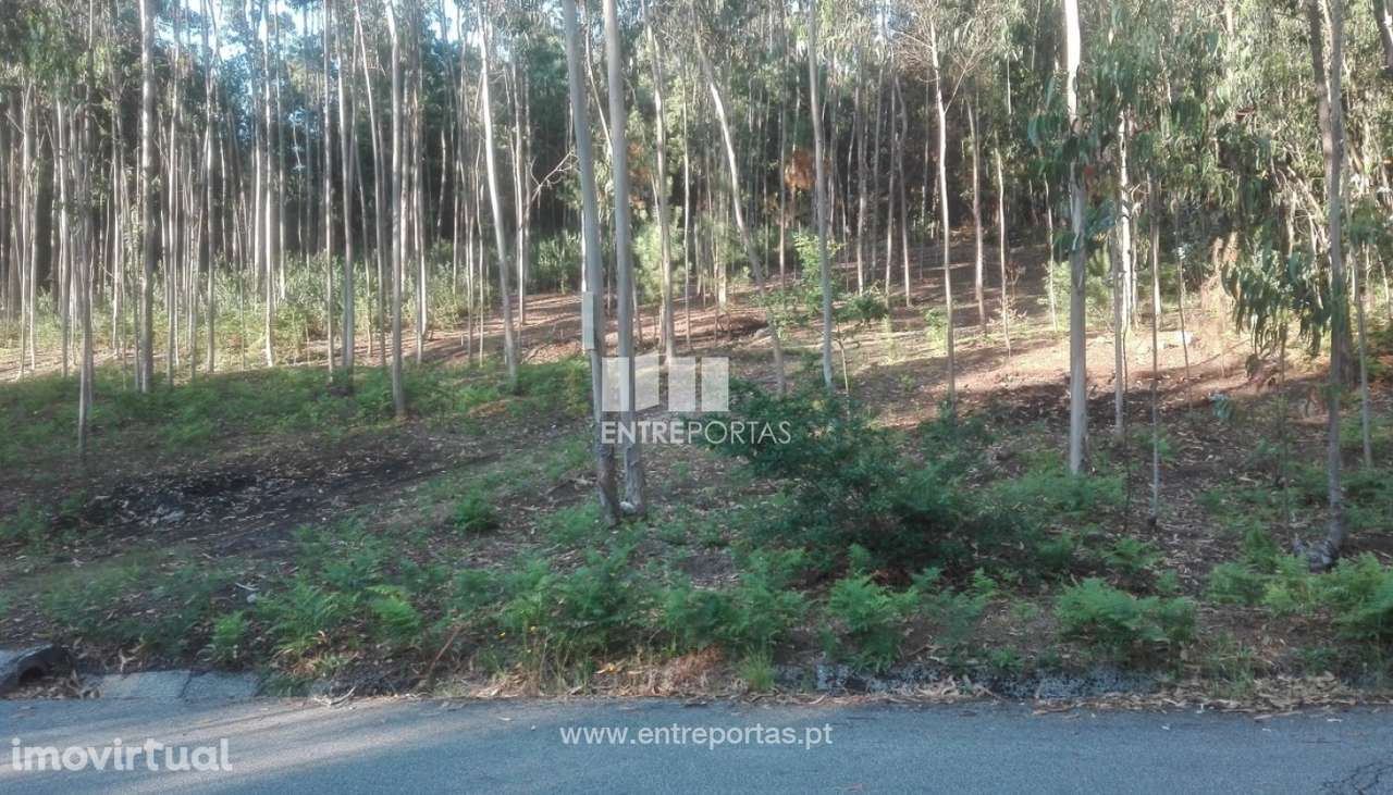 Terreno de construção para venda, Vilarelho, Caminha - Grande imagem: 5/6