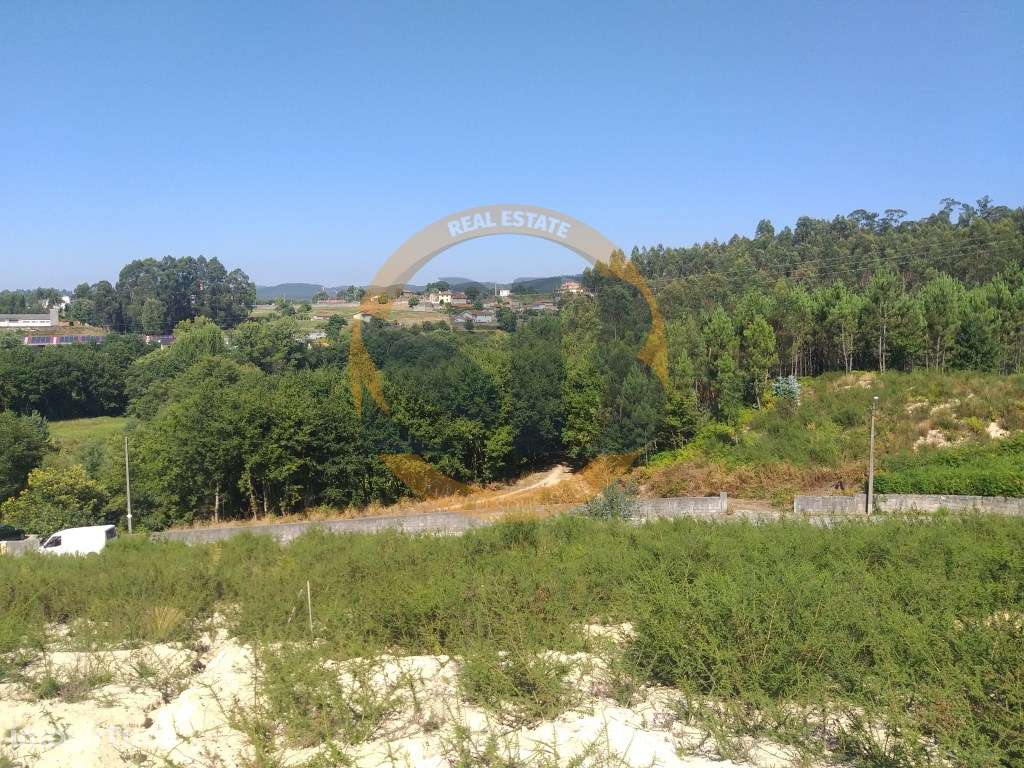 Terreno Urbano Pinheiro da Bemposta - Grande imagem: 2/3