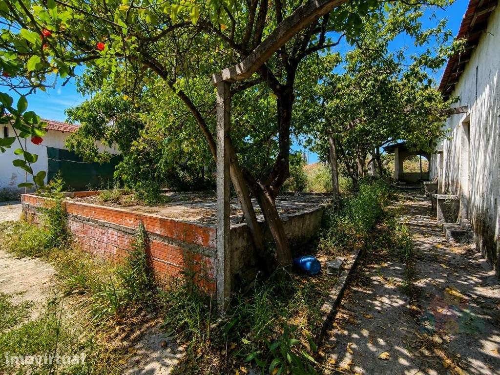 Quinta com 16 mil m2 em excelente localização - Tomar - Grande imagem: 5/19