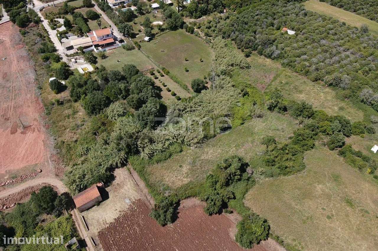 Terreno Rústico em Vilarinho com 1.000m2, Messines - Grande imagem: 5/13