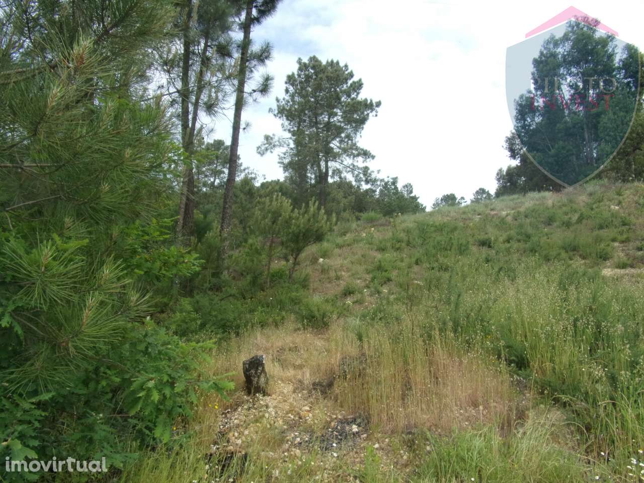 Terreno Misto  Venda em Orgens,Viseu - Grande imagem: 4/10