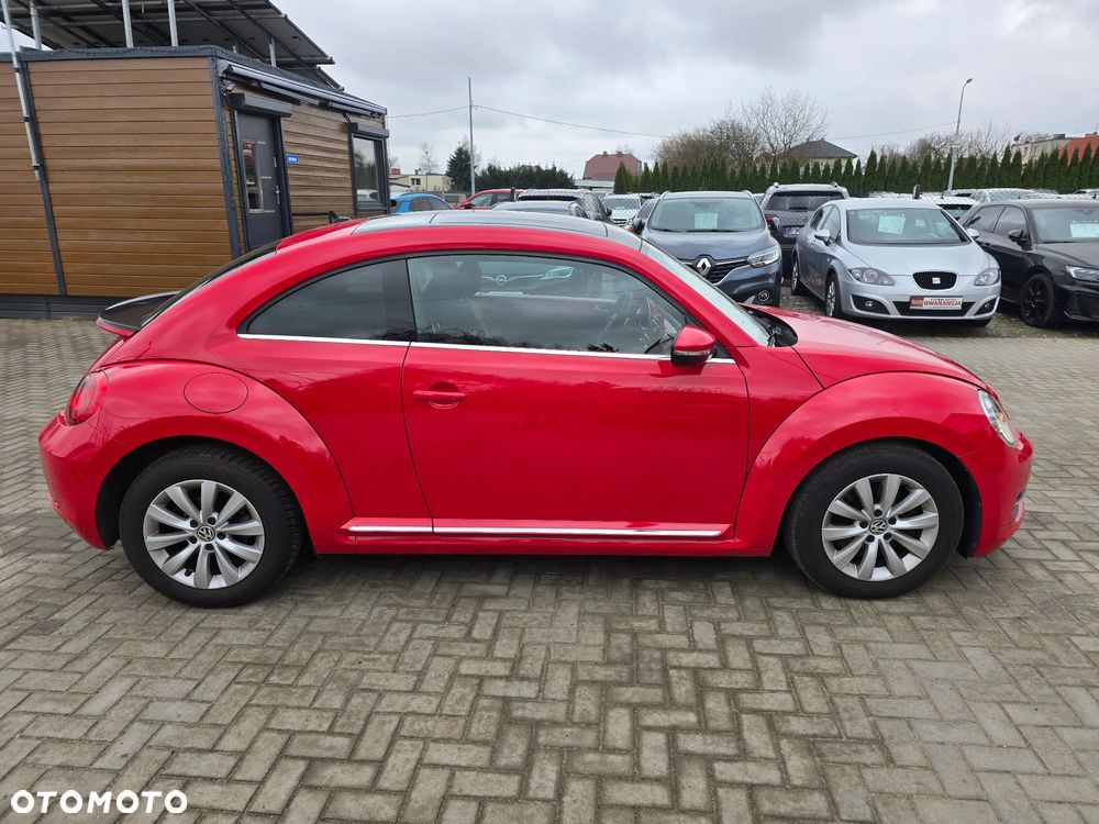 Volkswagen Beetle - 3
