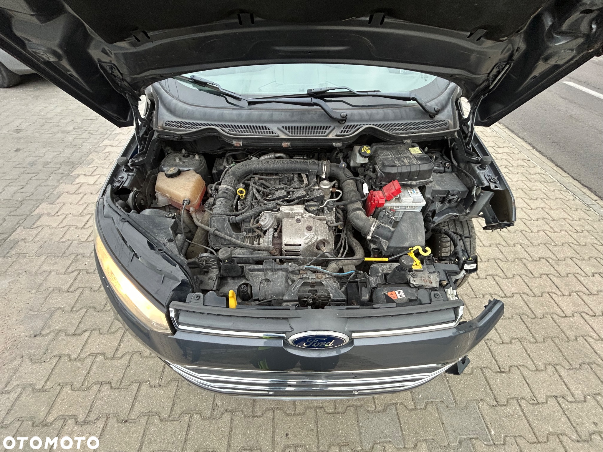 Ford EcoSport - 12