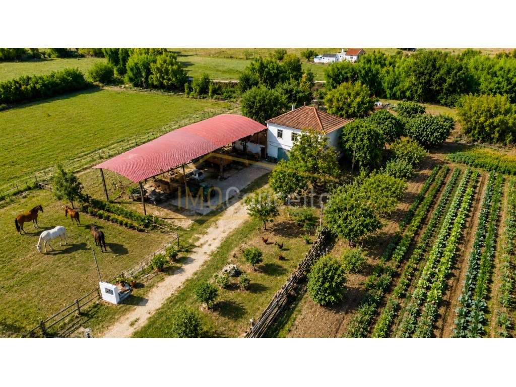 Quinta da Ilha| Torres Novas - Grande imagem: 5/60