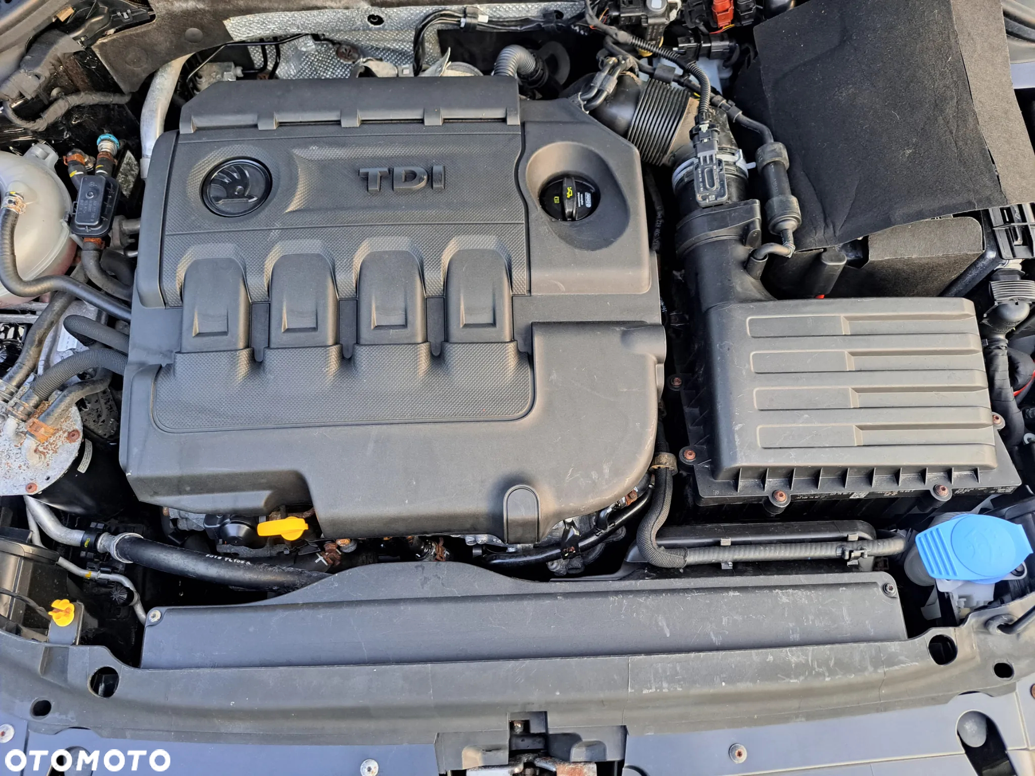 Skoda Octavia 1.6 TDI Edition - 11