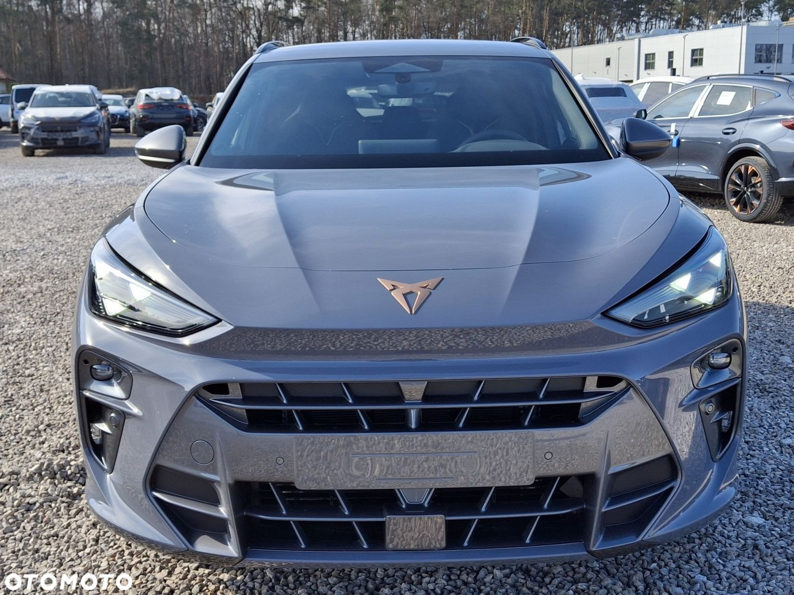 Cupra Terramar - 3
