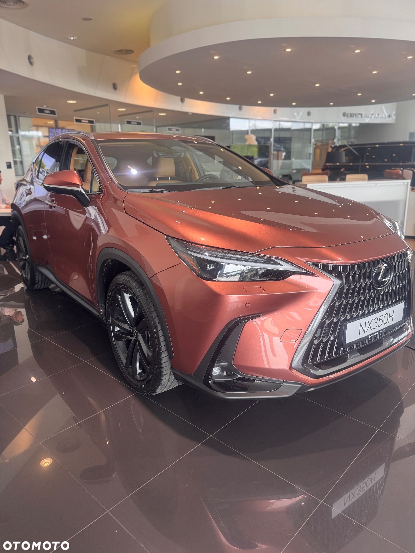 Lexus NX - 1