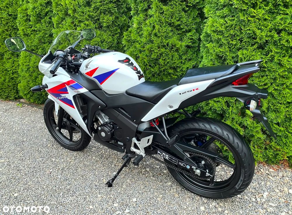 Honda CBR - 6