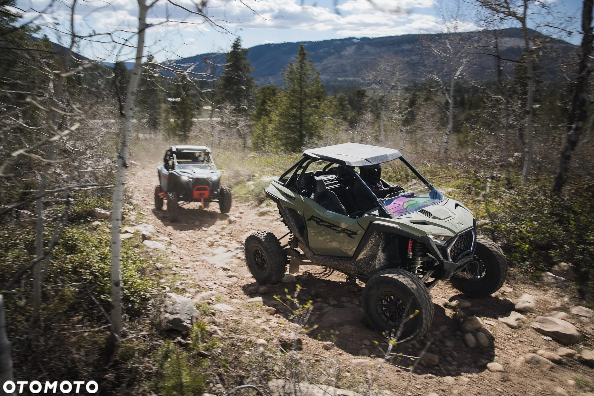 Polaris RZR - 10