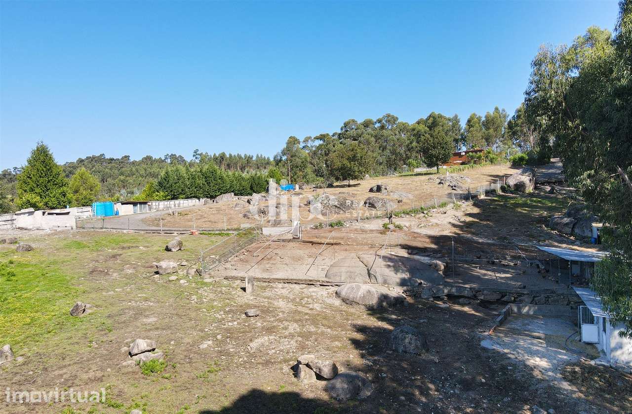 Quinta com mais de 14.000 m2 em Fafe - Grande imagem: 3/12