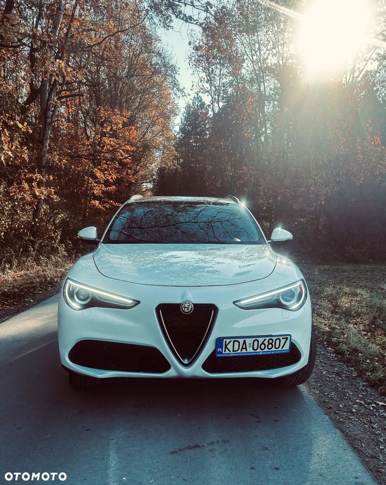 Alfa Romeo Stelvio 2.0 Turbo 16V AT8-Q4 Executive - 6