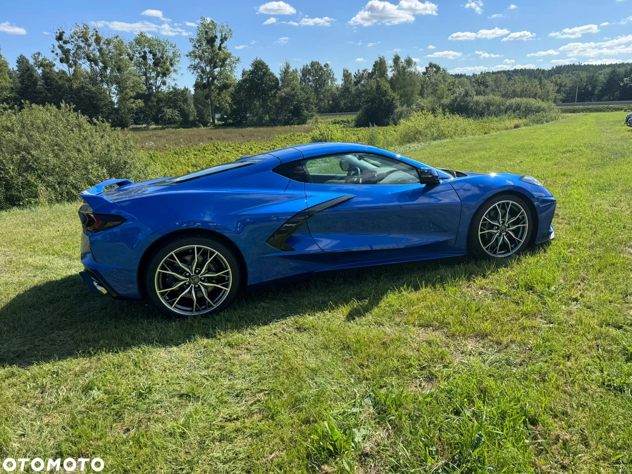 Chevrolet Corvette - 18