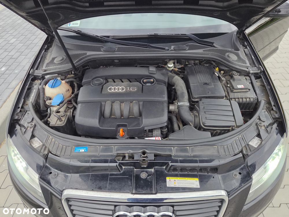 Audi A3 Sportback 1.6 Attraction - 12