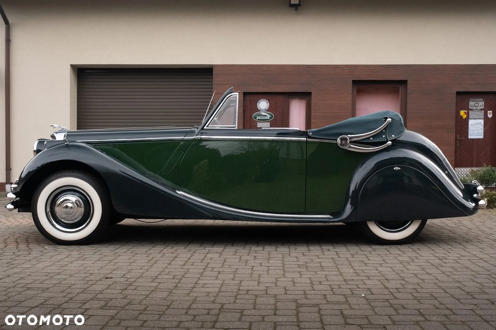 Jaguar Inny - 10
