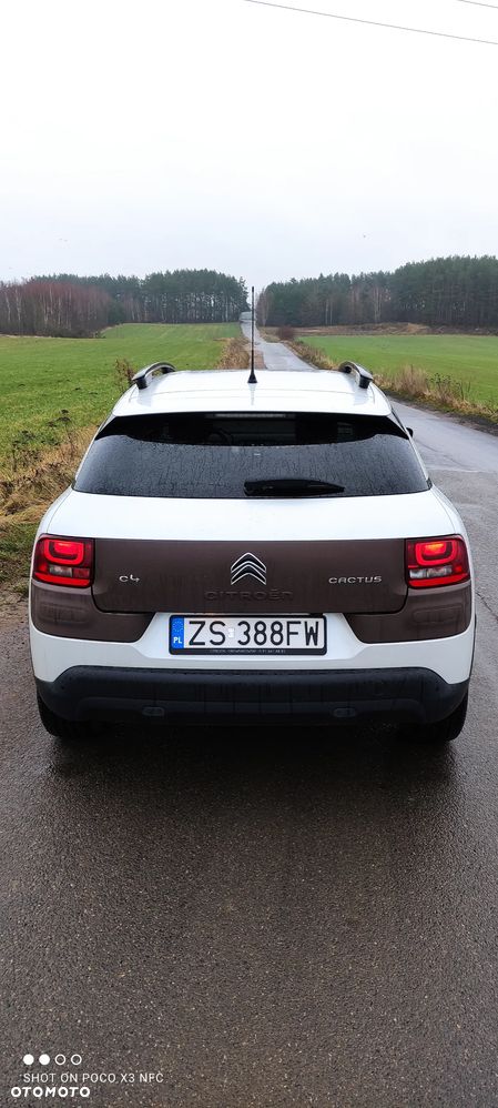 Citroën C4 Cactus 1.2 PureTech Shine EU6 - 5