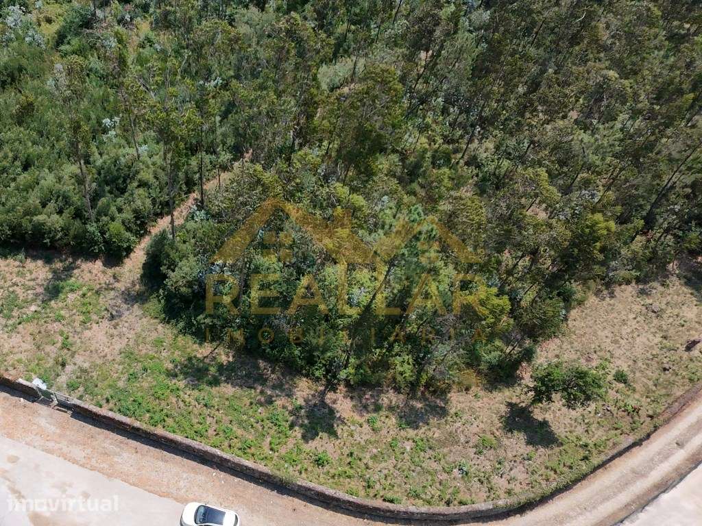 Terreno Industrial em Vila do Conde: Projeto Otimizado e Alta Capac... - Grande imagem: 5/22