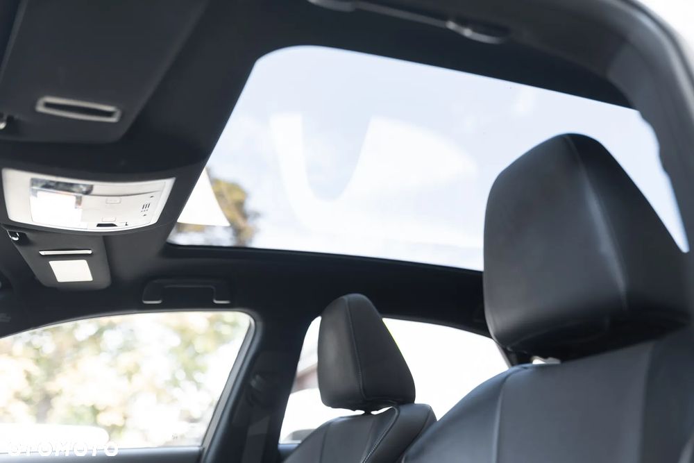 Lexus NX 300h F Sport AWD - 17