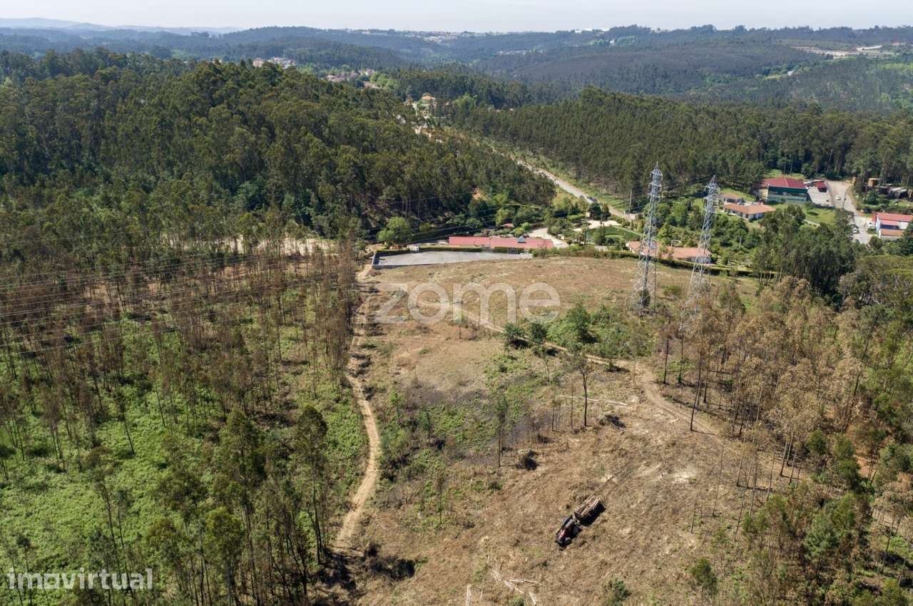 Terreno florestal com capacidade construtiva - Santa Maria da Feira - Grande imagem: 4/36