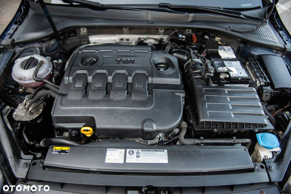 Volkswagen Golf - 15