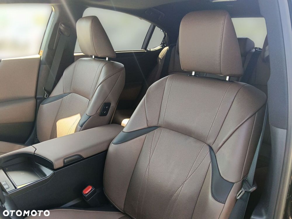 Lexus ES 300h Omotenashi - 12