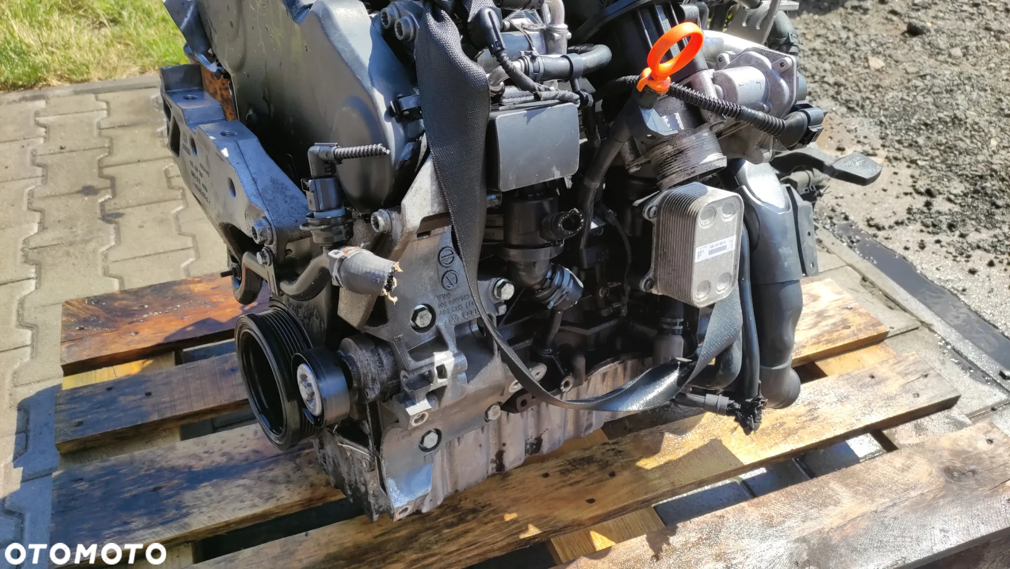Silnik VW Caddy Audi 1.6 diesel kod: CAYD - 11