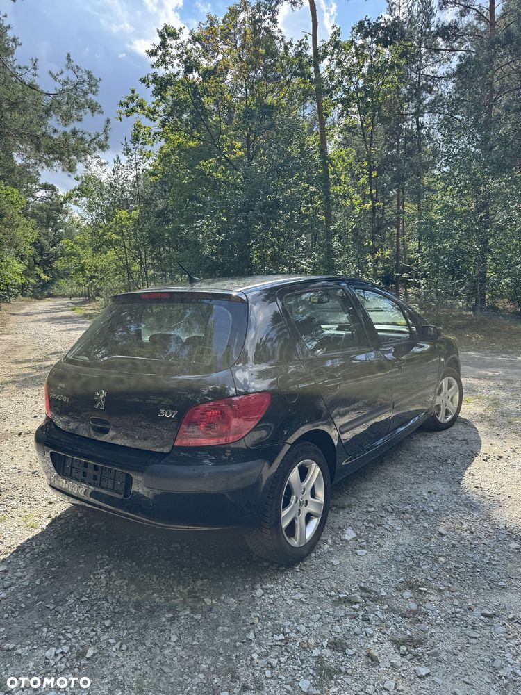 Peugeot 307 - 3