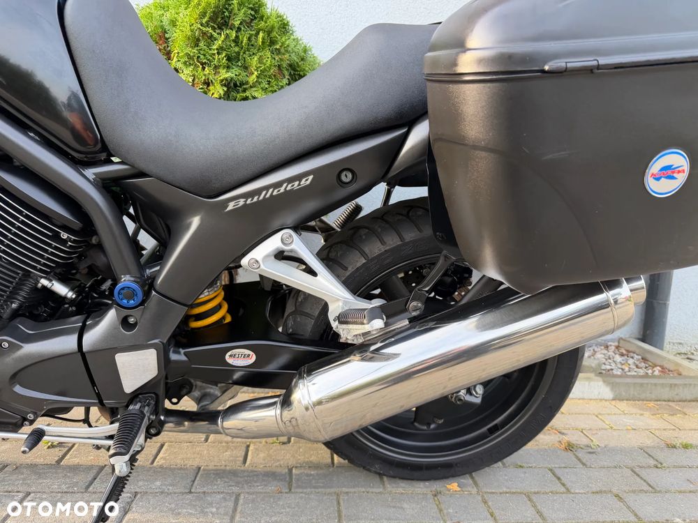 Yamaha Bulldog - 32