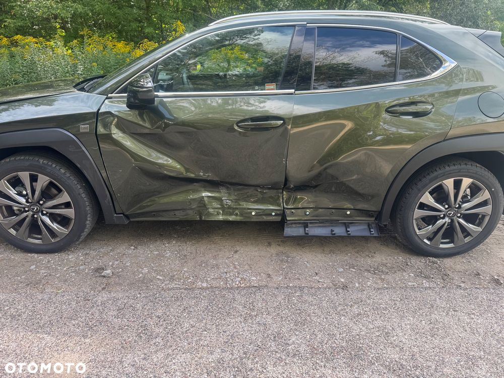 Lexus UX 300h F Sport AWD - 18