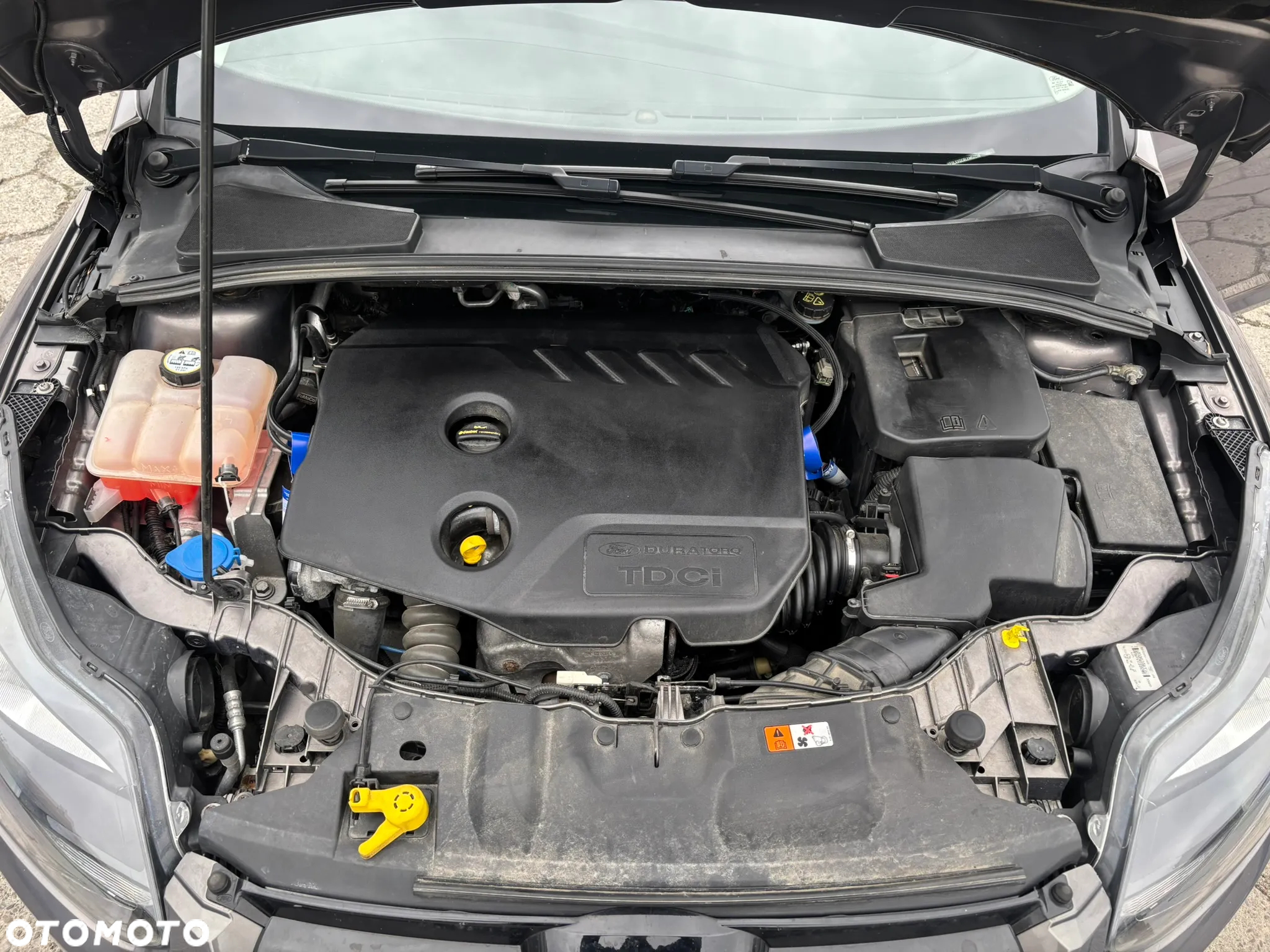 Ford Focus - 17