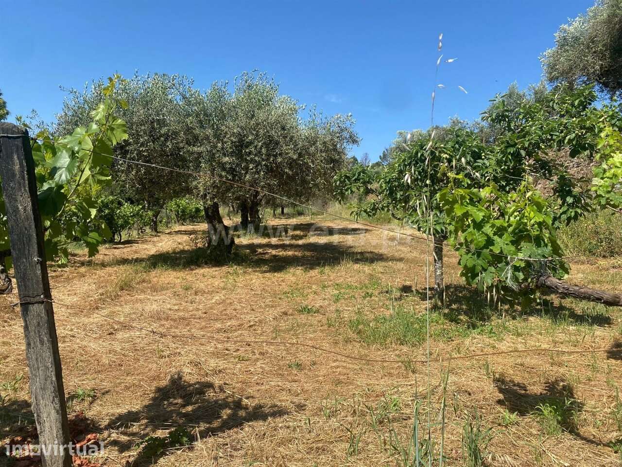 Terreno / Covilhã, Paul - Grande imagem: 3/5