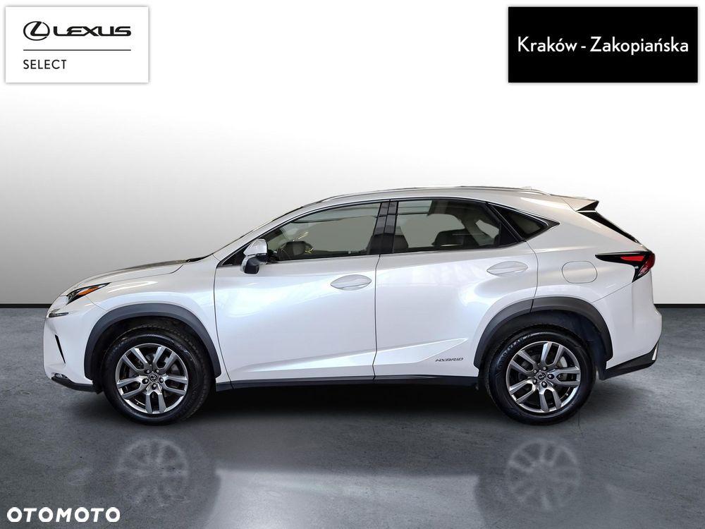 Lexus NX 300h Business Edition AWD - 5