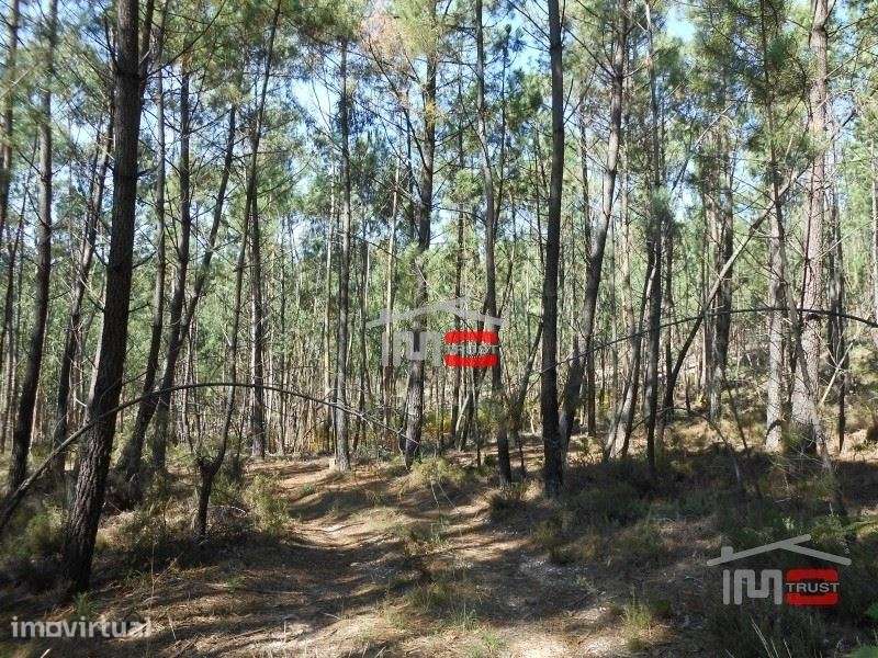 Terreno boa localização Ourem - Grande imagem: 4/7