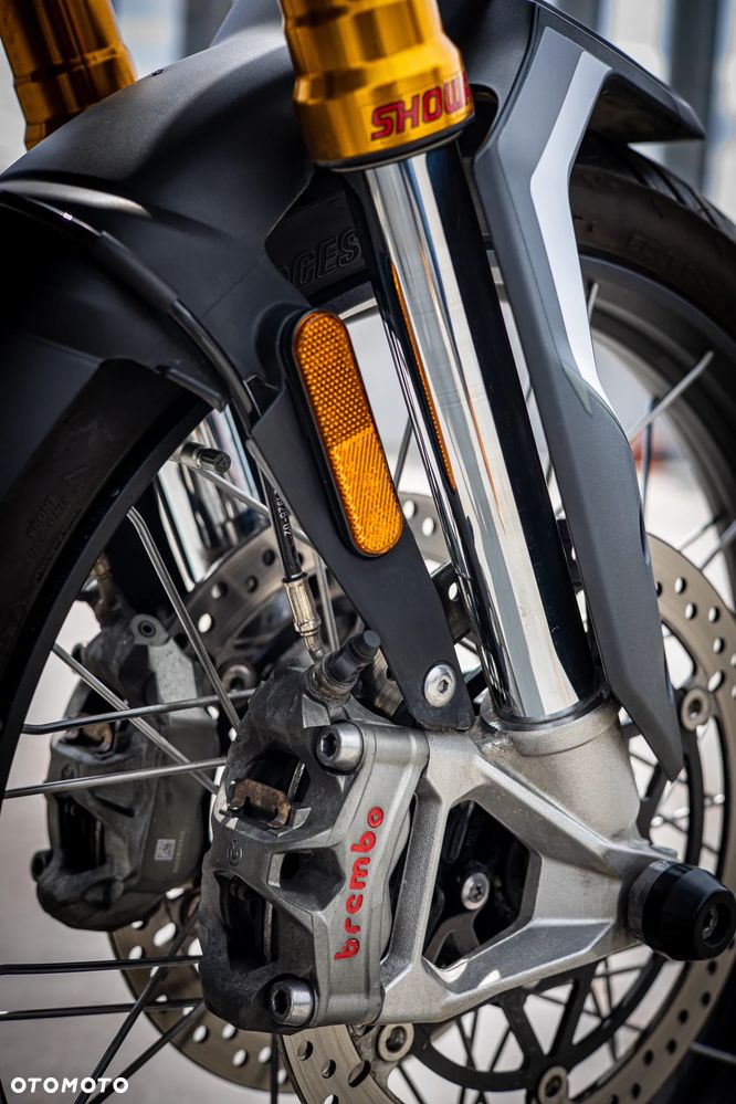Triumph Tiger - 29