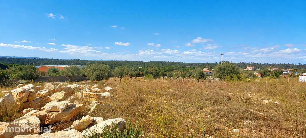 Terreno de 5.750 m² com potencial construtivo-Loureira, Santa Catarina - Grande imagem: 5/10