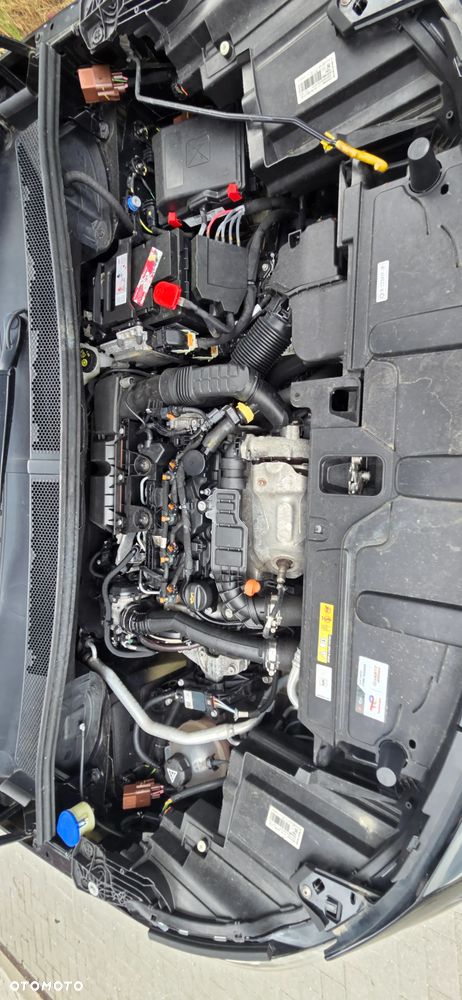 Peugeot 3008 1.5 BlueHDi GT Pack S&S EAT8 - 40
