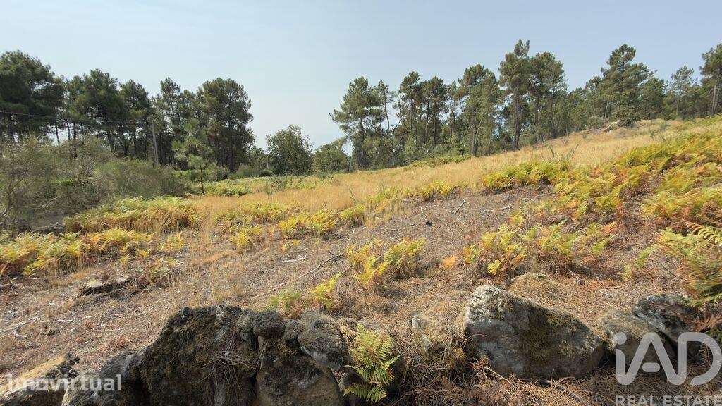 Terreno para construção em Mouçós e Lamares de 3484,00 m2 - Grande imagem: 5/30