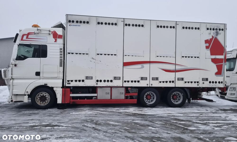 BUSSBYGG / kontener / zabudowa / izoterma - 1