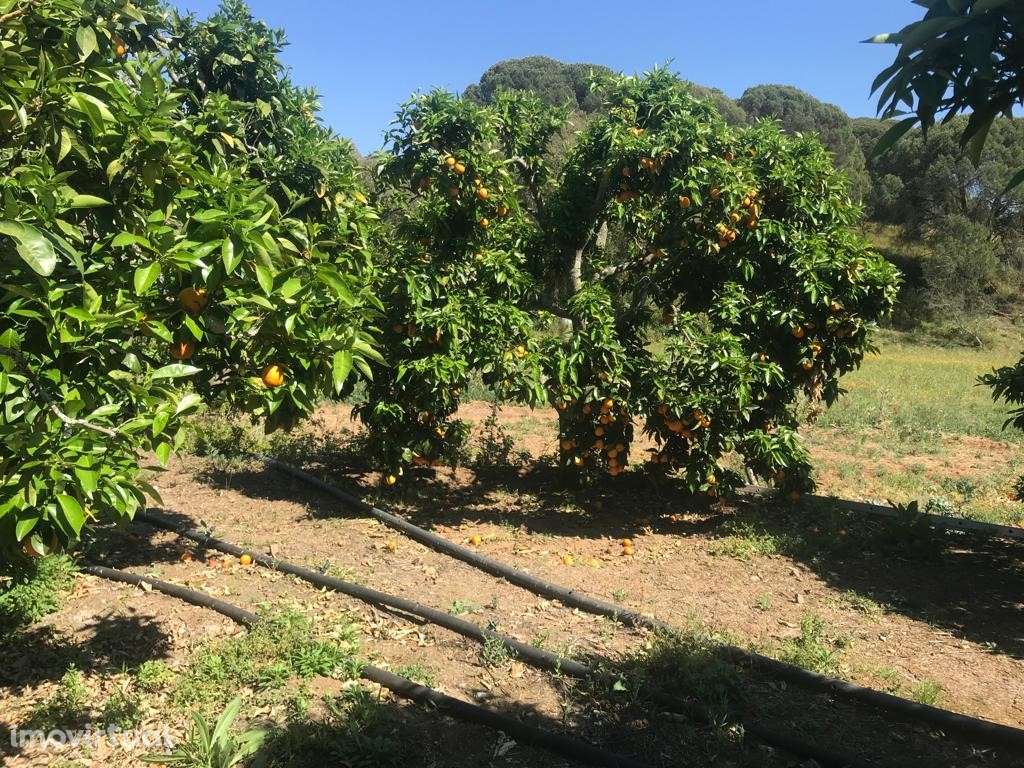 TERRENO Rústico (6.750 m2) - Grande imagem: 2/15