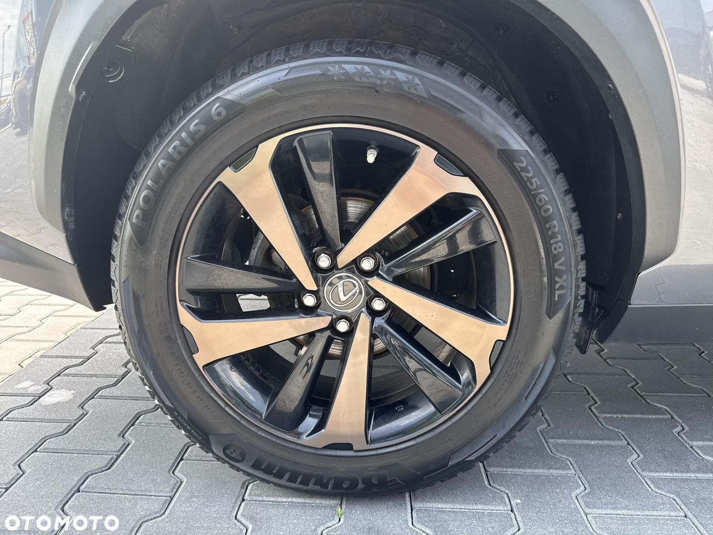 Lexus NX - 10