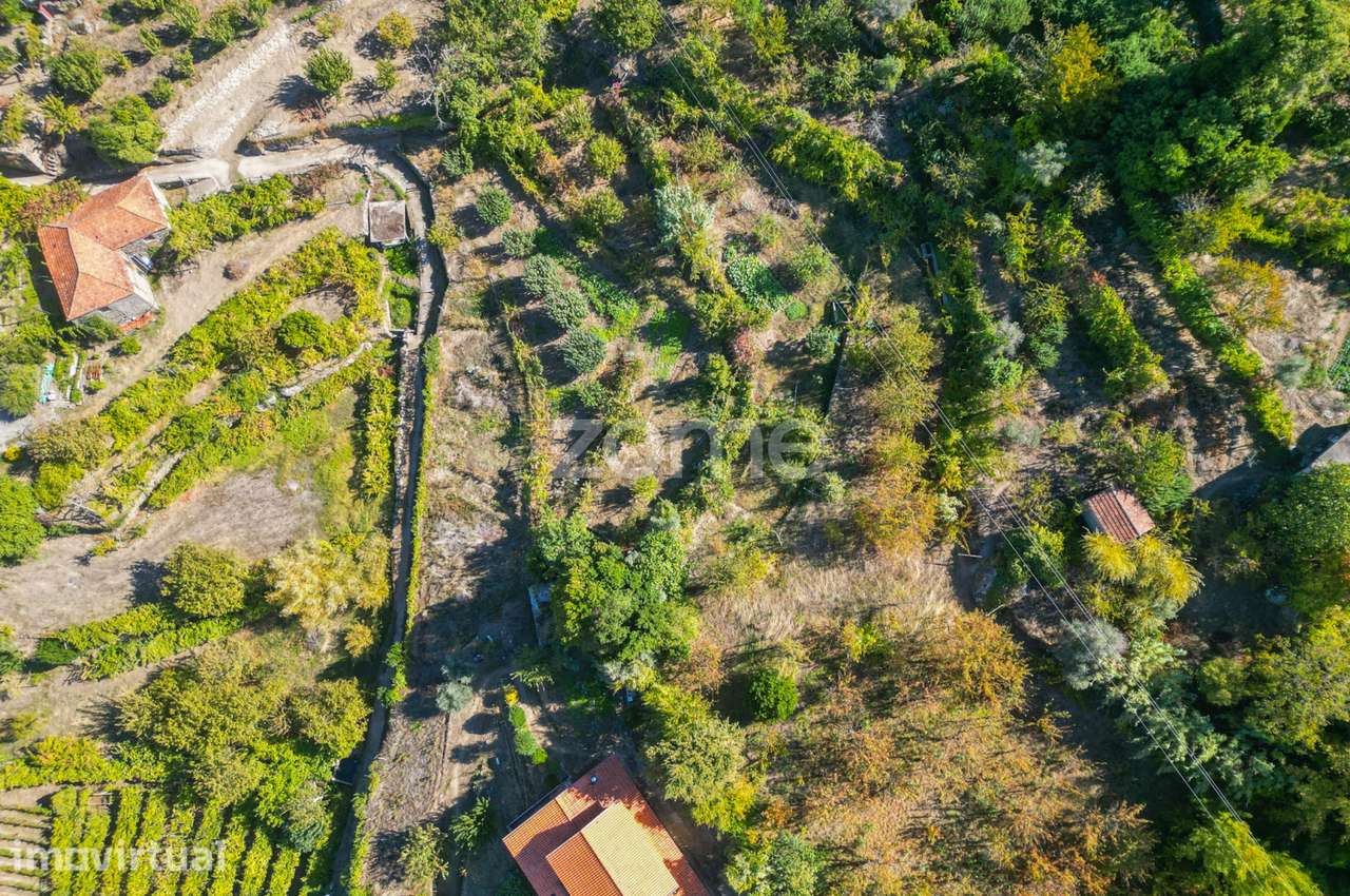 Terreno Rústico com Vistas Deslumbrantes para o Rio Douro - Grande imagem: 5/12